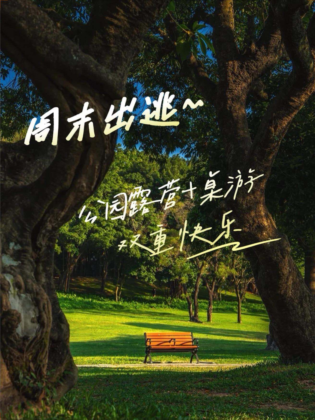 9.27中山公园户外桌游&聚餐🏕抓住假期的尾巴✨